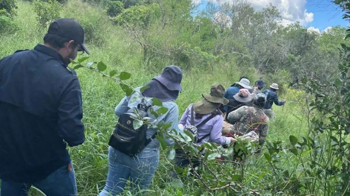 Localizan restos humanos en Reynosa, Tamaulipas X @Busqueda_MX